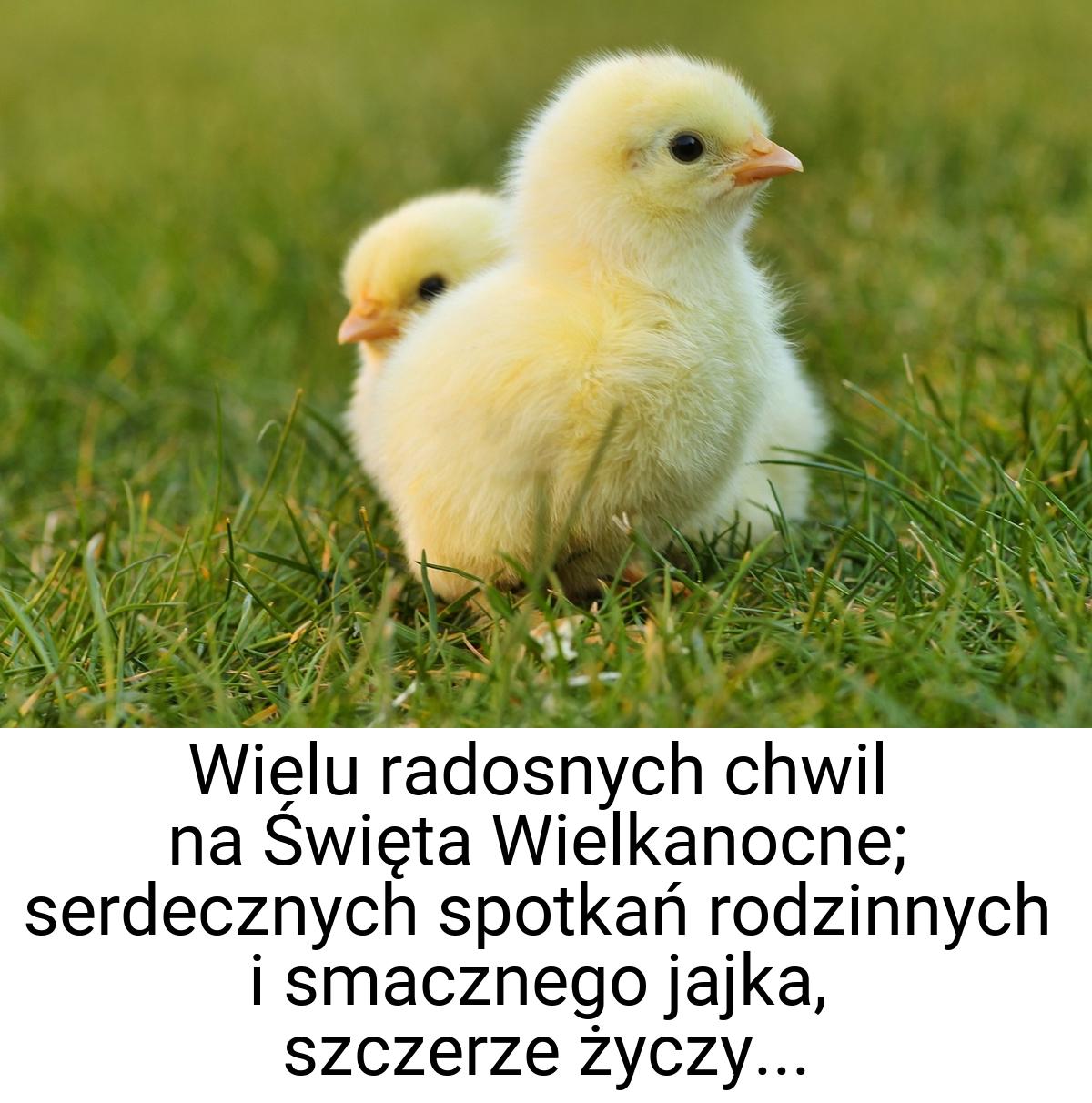 Wielu radosnych chwil na Święta Wielkanocne; serdecznych