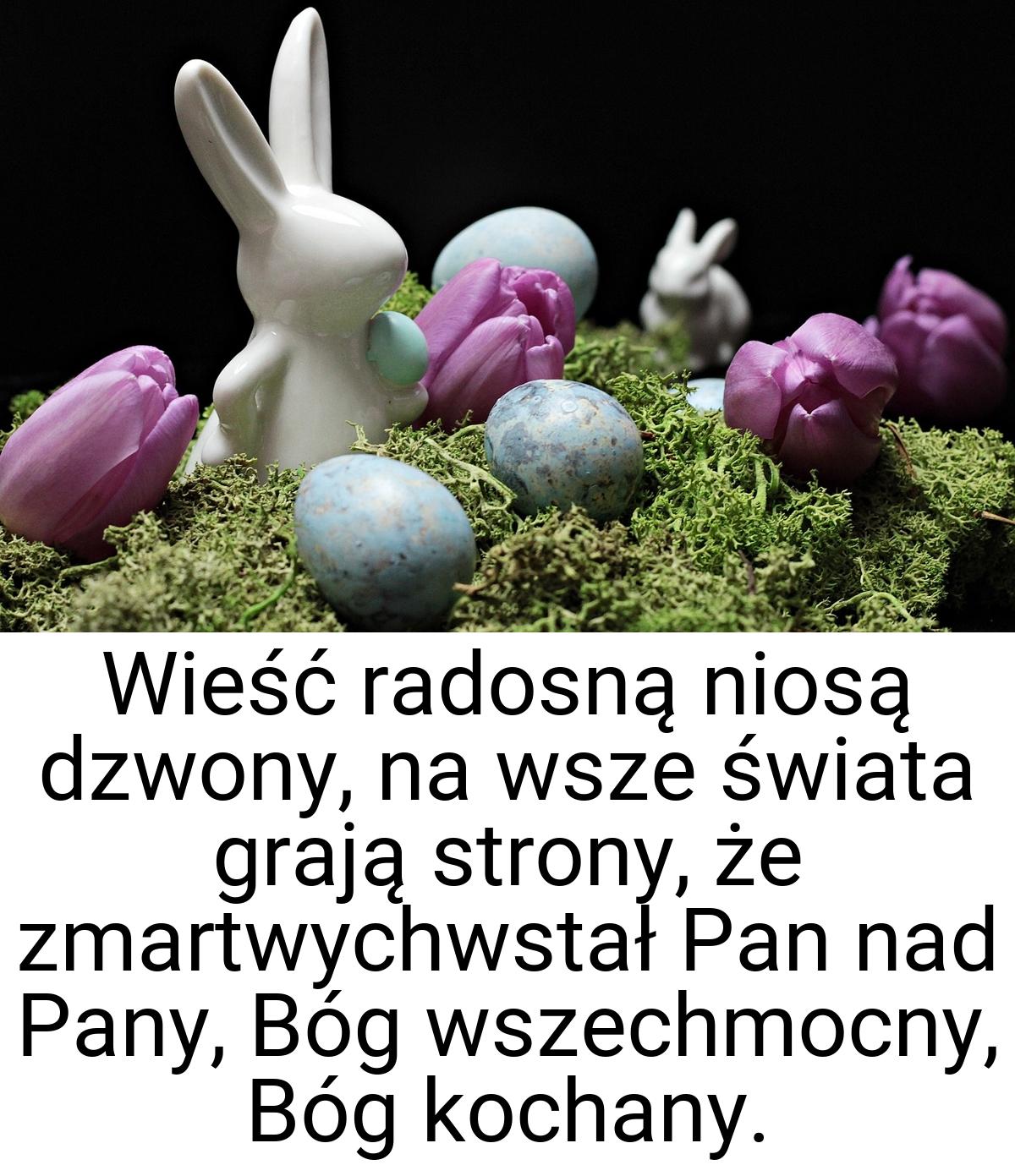 Wieść radosną niosą dzwony, na wsze świata grają strony, że