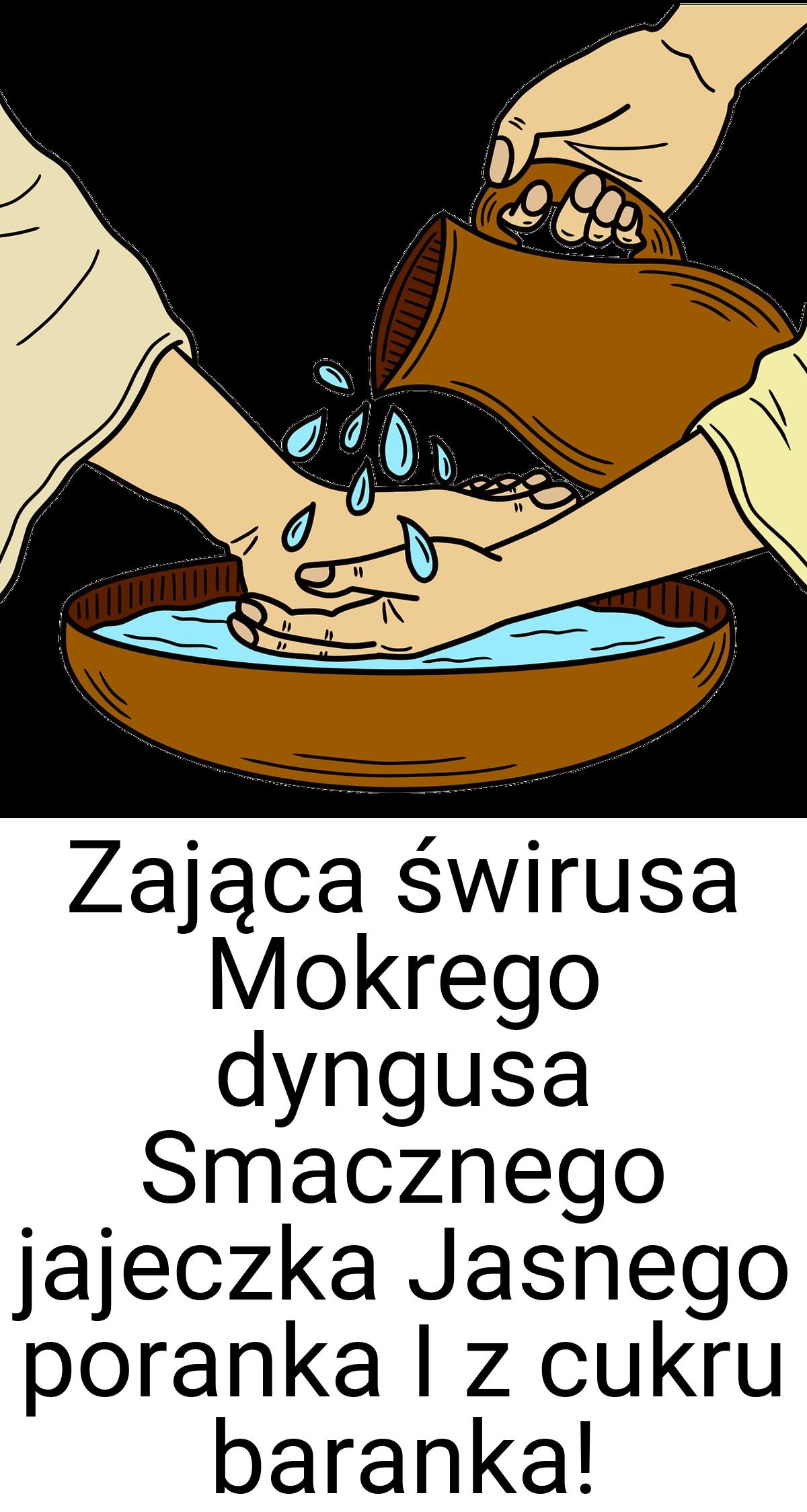 Zająca świrusa Mokrego dyngusa Smacznego jajeczka Jasnego