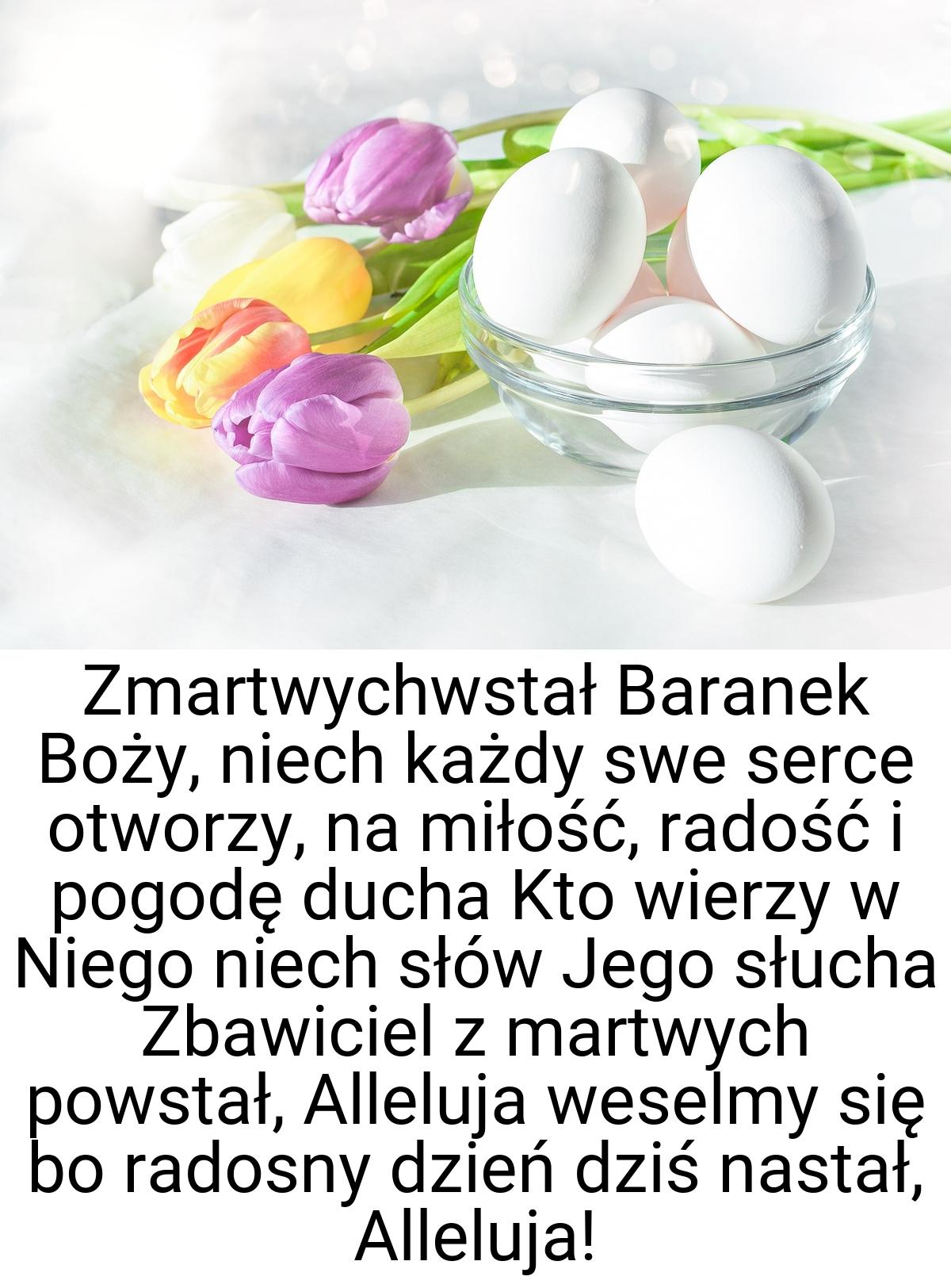 Zmartwychwstał Baranek Boży, niech każdy swe serce otworzy