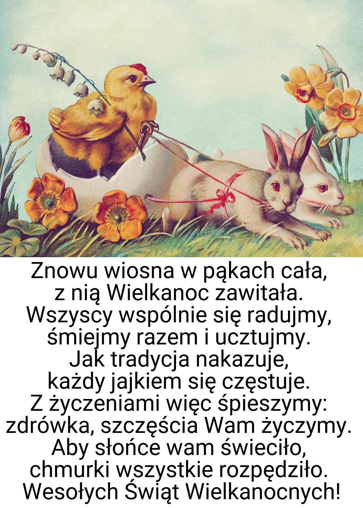 Znowu wiosna w pąkach cała, z nią Wielkanoc zawitała