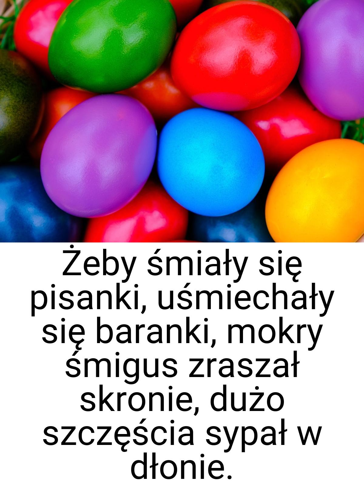 Żeby śmiały się pisanki, uśmiechały się baranki, mokry