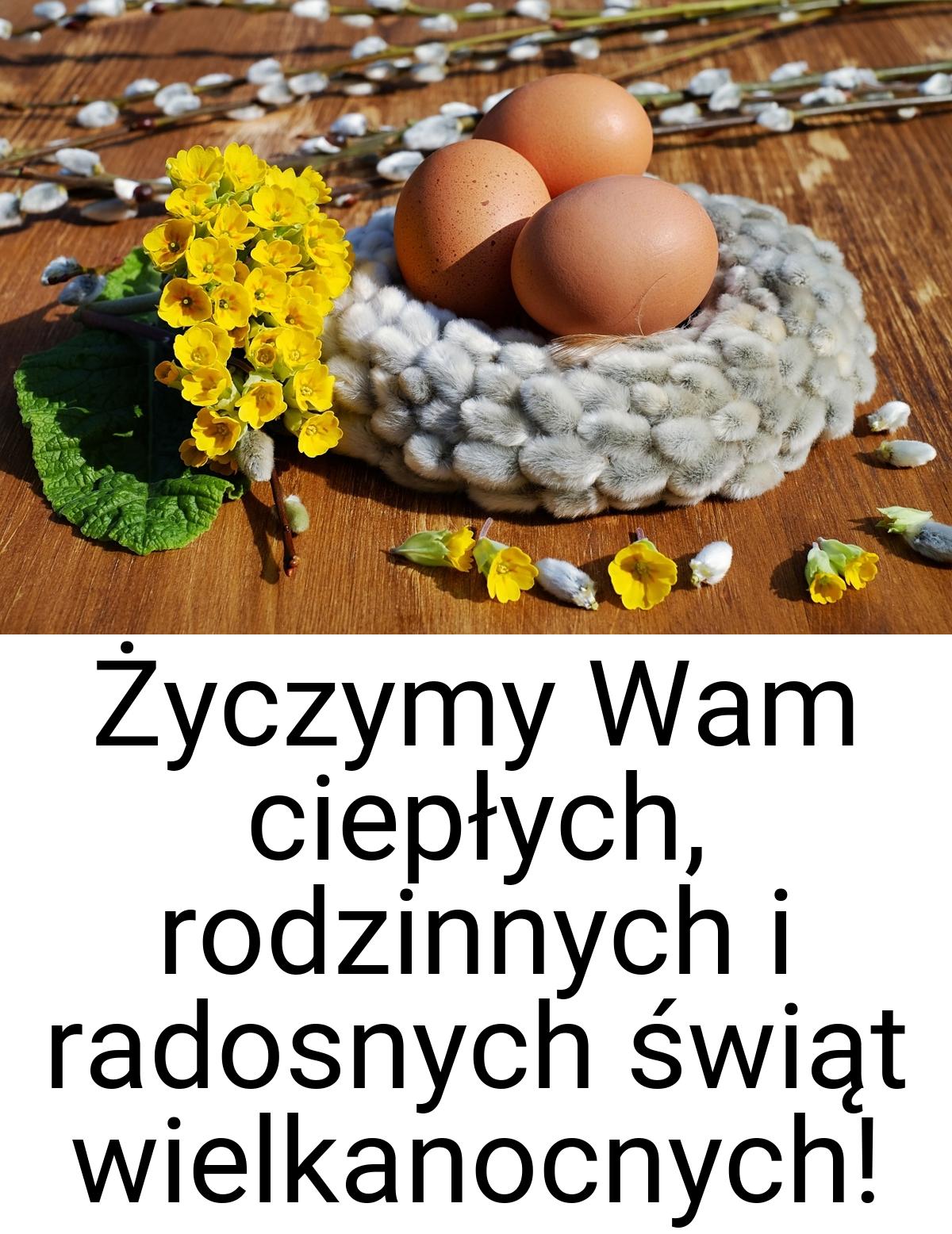 Życzymy Wam ciepłych, rodzinnych i radosnych świąt